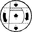 
When stems, supported at both ends, are thicker than guide bar length, cut in this sequence.
